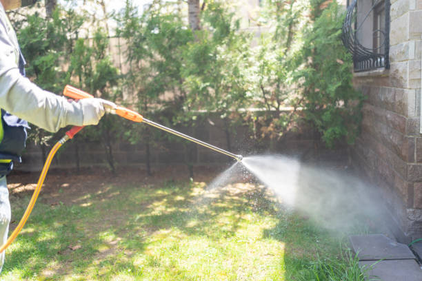 Best Cockroach Control Services  in Henryville, IN