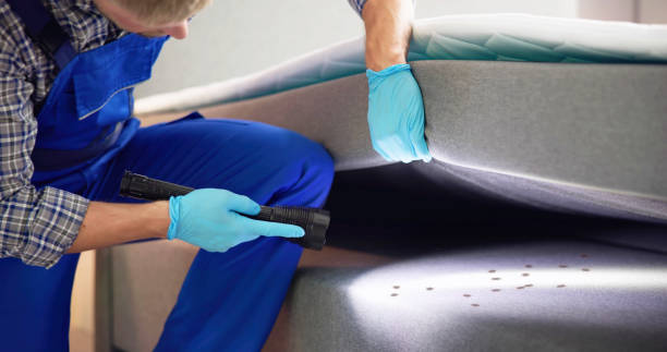 Trusted Henryville, IN Pest Control Experts