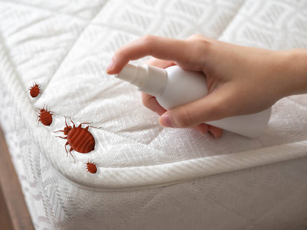 Pest Control Cost in Henryville, IN