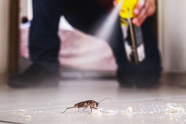 Best Emergency Pest Control  in Henryville, IN